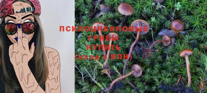 Галлюциногенные грибы MAGIC MUSHROOMS Кимовск